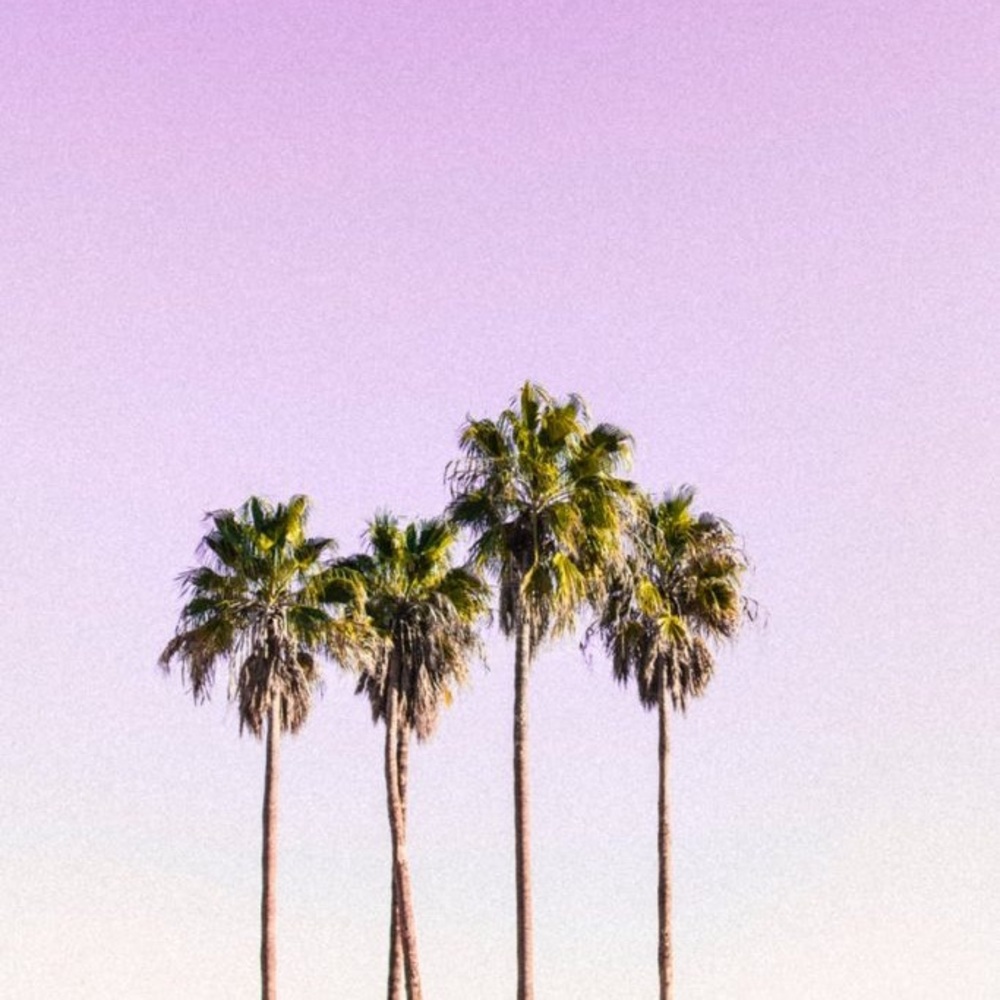 w e l c o m e 𑁍 - Picture 11 of 16